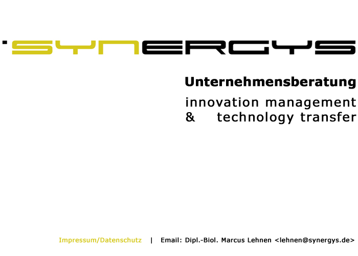 synergys Unternehmensberatung